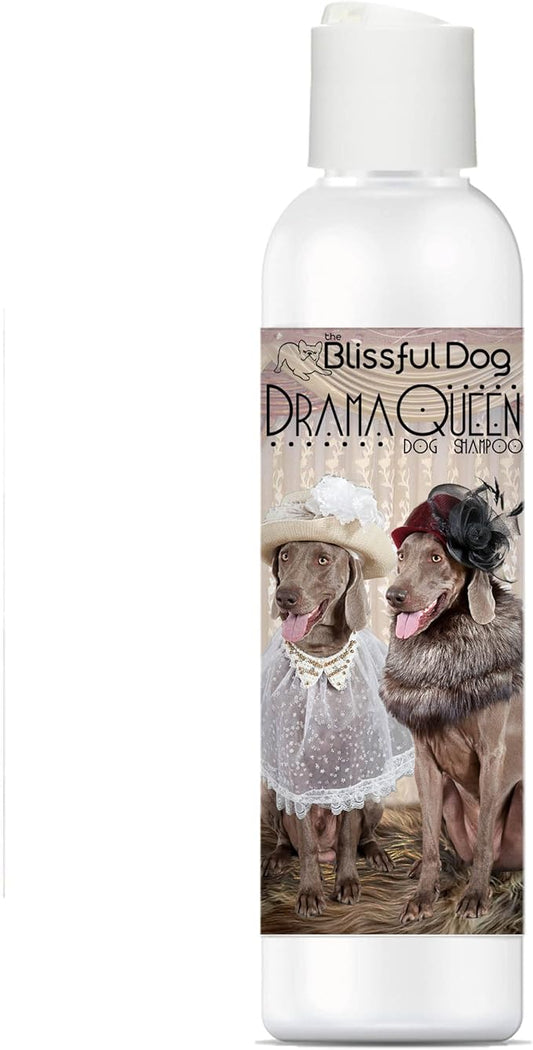 The Blissful Dog Weimaraner Drama Queen Dog Shampoo, 16 oz.