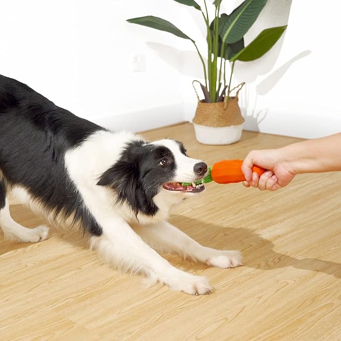 MewaJump Interactive Dog Toys, Durable Dog Chew Toy for Aggressive Chewers Rubber Pet Toy Dog Dental Chew for Small, Medium Breed
