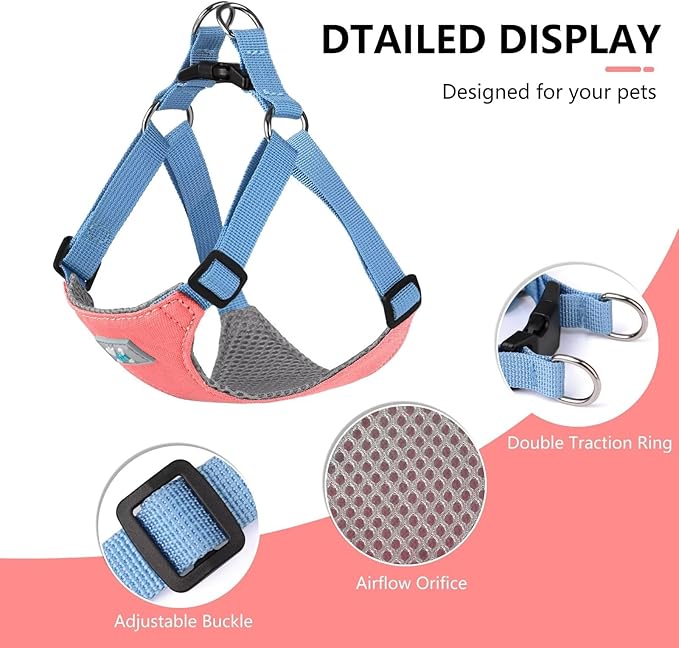 Beirui Small Dog Harness and Leash Set, No Pull Step-in Harness for Puppy, Lightweight Air Mesh Pet Harness for Small Dogs (Rose, S)