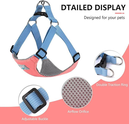 Beirui Small Dog Harness and Leash Set, No Pull Step-in Harness for Puppy, Lightweight Air Mesh Pet Harness for Small Dogs (Rose, S)