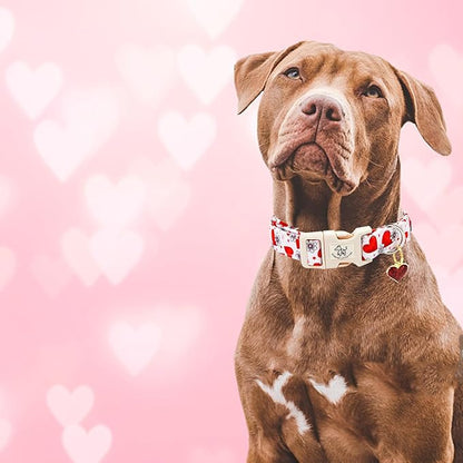 Elegant little tail Valentine's Day Dog Collar-Cute Pink Heart Dog Collar for Small Dogs, Female or Male Adjustable Cotton Pet Collar with Quick Release Buckle for Small Medium Large Dogs