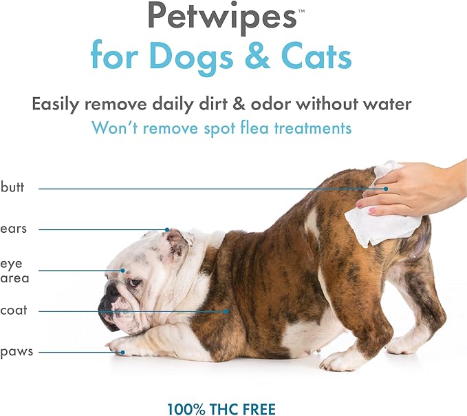 Petkin Hemp Pet Wipes for Dogs and Cats - with Hemp Oil & Soothing Vanilla Scent, 200 Count - Soothes, Calms & Conditions - Wipes for Pet's Face, Eyes and Body - for Home or Travel