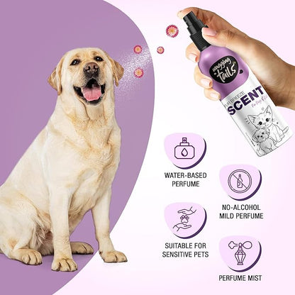 Wagging Tails 5-in-1 Fur Breeze Scent, 6.7 fl oz for Dogs & Cats | Alcohol-Free Pet Freshener | Long-Lasting Freshness & Odor Eliminator | Gentle Formulation for All Pets, Ensuring Daily Freshness