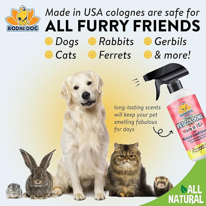 Bodhi Dog Natural Dog Cologne (Sugar Cookie) - Premium Scented Deodorizing Pet Perfume with Conditioner for Dogs & Cats - Keeps Pets Fresh & Clean - Gentle and Safe Formula, Made in USA (17 Fl Oz)
