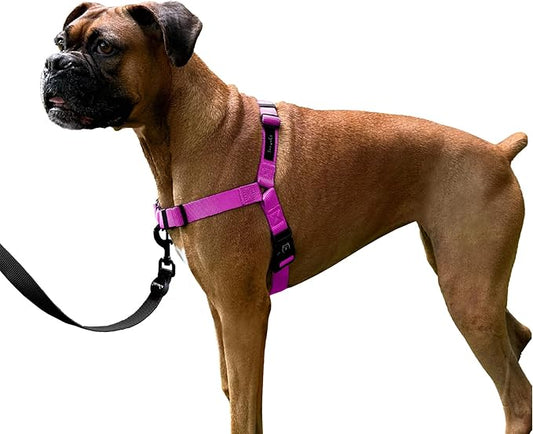 ShawnCo Dream Walk No-Pull Dog Harness- Adjustable, Comfortable, Easy to Use Pet Halter to Help Stop Pulling for Small, Medium and Large Dogs (Orchid, S)