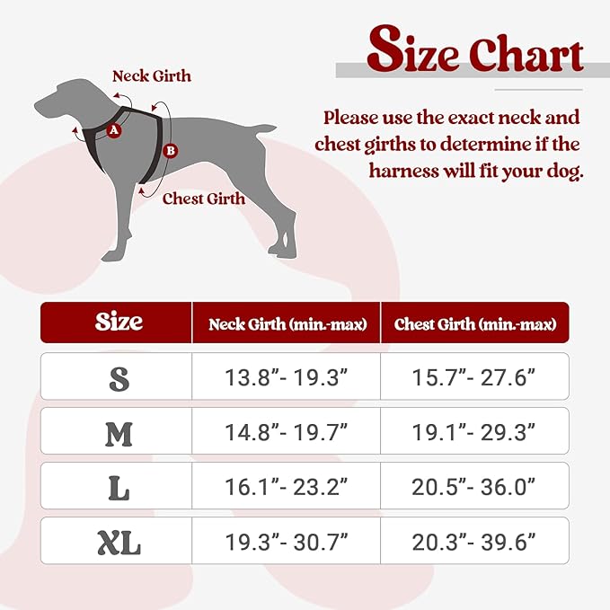 rabbitgoo Dog Harness Small Sized Dog No Pull, Comfortable Padded Plaid Dog Harness with Handle Easy Control, Adjustable Reflective Puppy Pet Harness Vest with 2 Leash Clips, Red Plaid, S