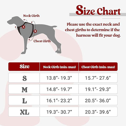 rabbitgoo Dog Harness Small Sized Dog No Pull, Comfortable Padded Plaid Dog Harness with Handle Easy Control, Adjustable Reflective Puppy Pet Harness Vest with 2 Leash Clips, Red Plaid, S