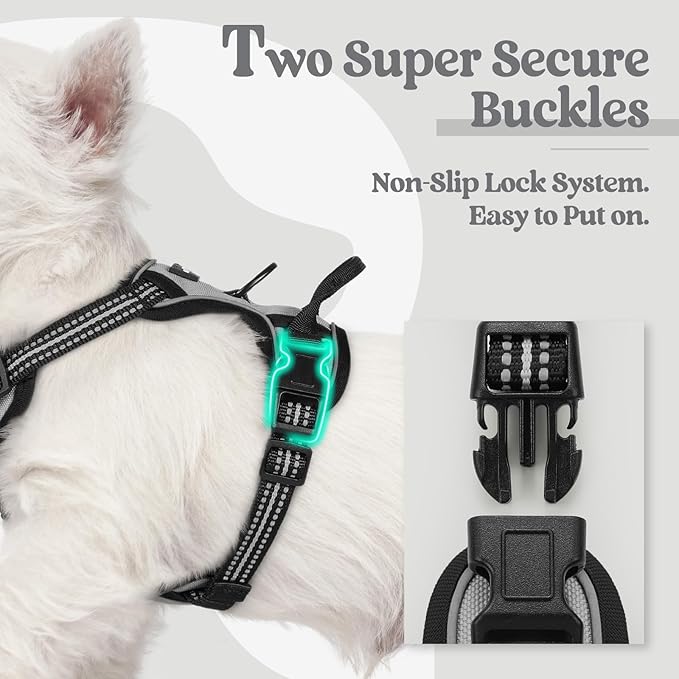 rabbitgoo Dog Harness, No-Pull Pet Harness with 2 Leash Clips, Adjustable Soft Padded Dog Vest, Reflective No-Choke Pet Oxford Vest with Easy Control Handle for Small Dogs, Grey, XS