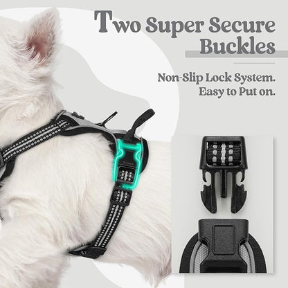 rabbitgoo Dog Harness, No-Pull Pet Harness with 2 Leash Clips, Adjustable Soft Padded Dog Vest, Reflective No-Choke Pet Oxford Vest with Easy Control Handle for Small Dogs, Grey, XS