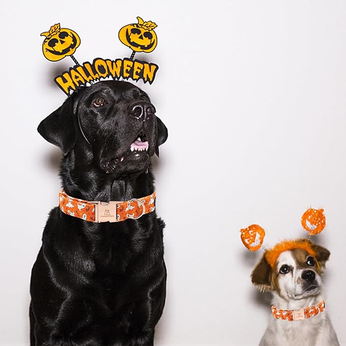 Lionheart glory Halloween Dog Collars, Fall Dog Collar Heavy Duty Adjustable Dog Collar for Small Collar Dog Female or Male Dog Collar