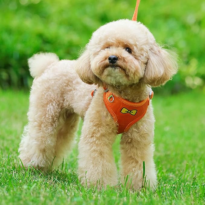 No Pull Dog Harness with Leash Pet Soft Vest Harness and Leash Set Dog Cat No Choke Escape Proof Harness Reflective Step in Harness for Small Medium Dogs Cats(Orange, Large)