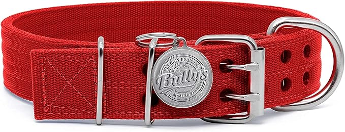 Pit Bull Collar, Dog Collar for Large Dogs, Heavy Duty Nylon, Stainless Steel Hardware (Large, Fire Engine Red)