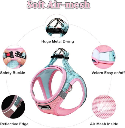 Mercano Soft Mesh Dog Harness and Leash Set, No-Chock Step-in Reflective Breathable Lightweight Easy Walk Escape Proof Vest Harnesses with Safety Buckle for Small Medium Dogs, Cats (XL, Pink Blue)
