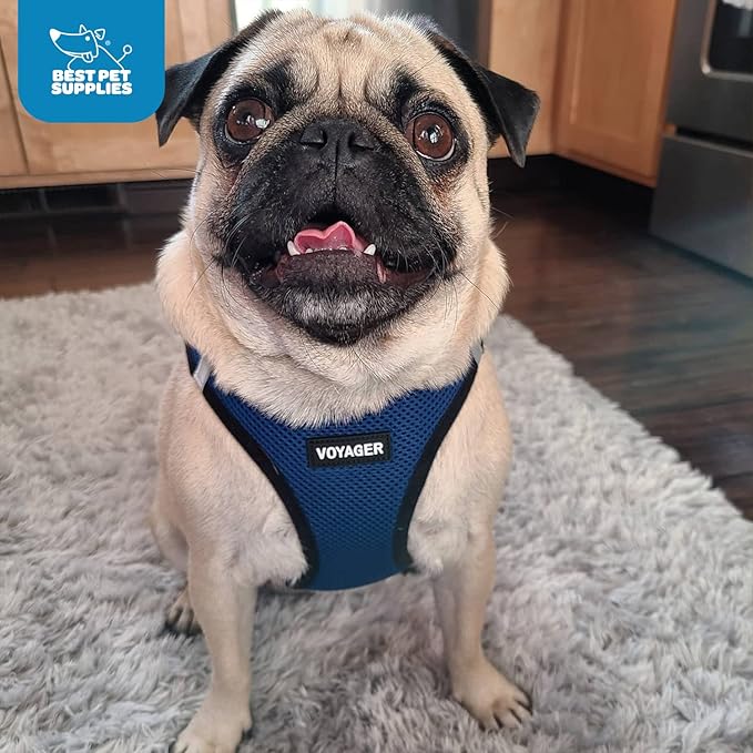 Voyager Step-in Air Dog Harness - All Weather Mesh, Reflective, No Pull Harness for Small, Medium Dogs, Cats - Secure with Hook & Loop Fastener, Buckle, Double D-Rings - Royal Blue/Black Trim, XXS