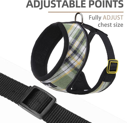PUPTECK Soft Mesh Dog Harness and Leash Set Pet Puppy Cat Comfort Padded Vest No Pull Harnesses, Green/Yellow, L