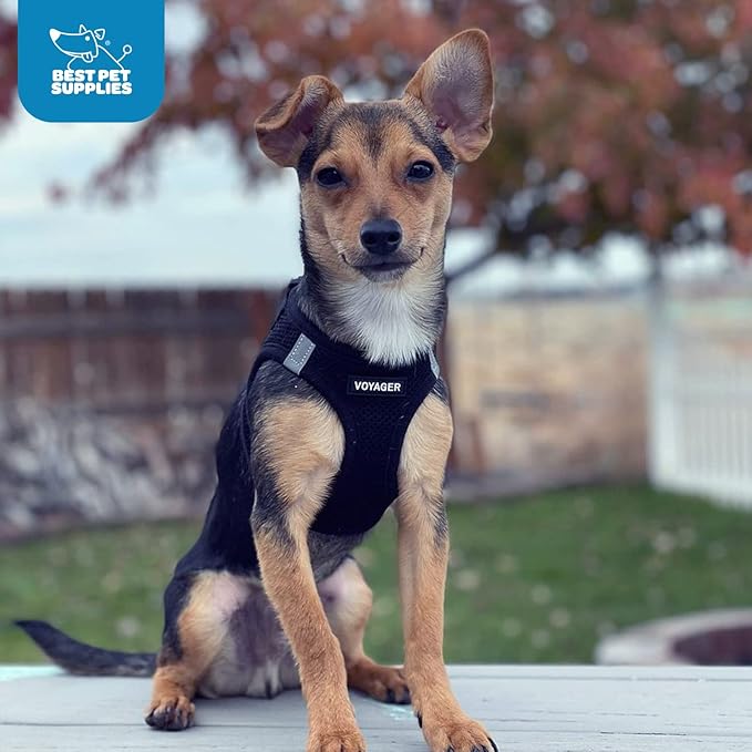 Voyager Step-in Air Dog Harness - All Weather Mesh, Reflective, No Pull Harness for Small, Medium Dogs, Cats - Secure with Hook & Loop Fastener, Buckle, Double D-Rings - Black, S