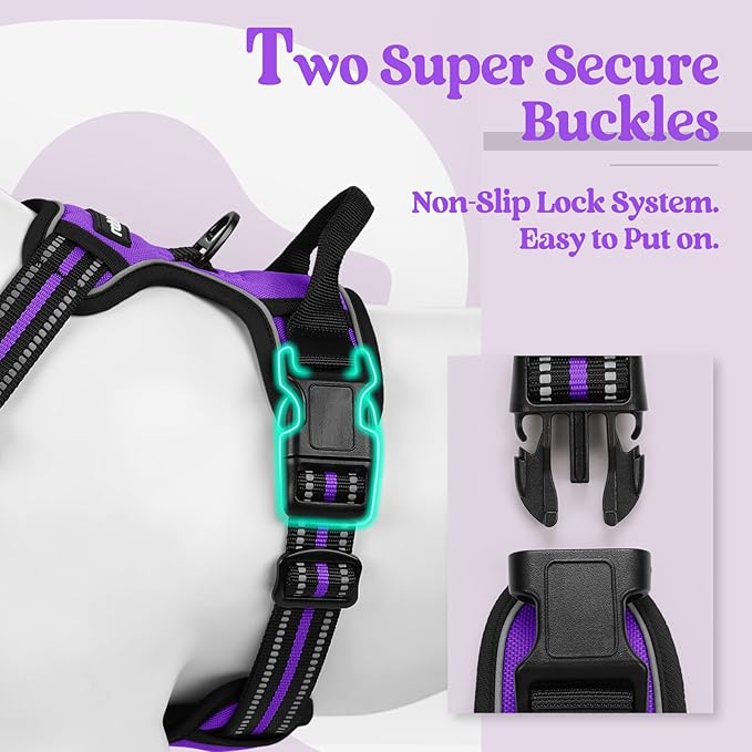 rabbitgoo Dog Harness, No-Pull Pet Harness with 2 Leash Clips, Adjustable Soft Padded Dog Vest, Reflective No-Choke Pet Oxford Vest with Easy Control Handle for Small Dogs, Purple, S