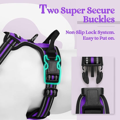 rabbitgoo Dog Harness, No-Pull Pet Harness with 2 Leash Clips, Adjustable Soft Padded Dog Vest, Reflective No-Choke Pet Oxford Vest with Easy Control Handle for Small Dogs, Purple, S