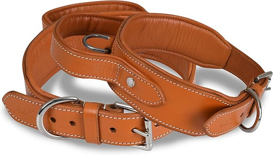 Leather Dog Collar with Handle, 2 Inch Wide Saddle Grade Brown Leather Dog Collar for Large Dogs | Heavy Duty, Comfortable, Inner Soft Padded | (L (Fit Neck Size 18.5"-22.5"), Light Brown)
