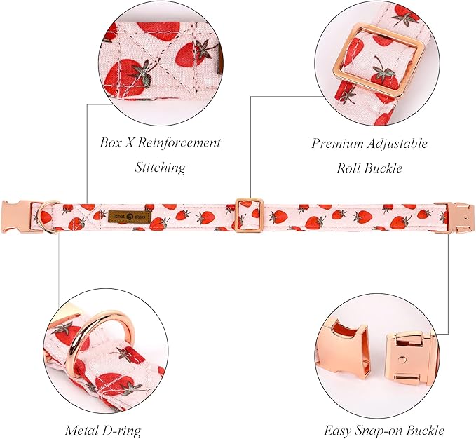 Lionet Paws Dog Collar, Comfortable Adjustable Cute Collar with Metal Buckle for Male Female Dogs Gift, Strawberry Pattern, Small, Neck 10-16 inches