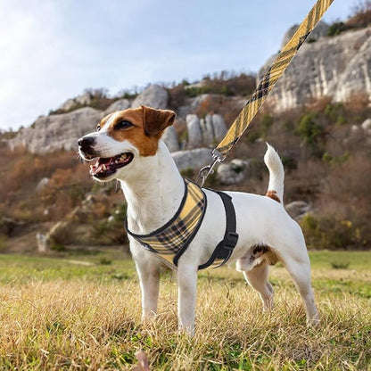 PUPTECK Soft Mesh Dog Harness and Leash Set Pet Puppy Cat Comfort Padded Vest No Pull Harnesses, Yellow, XS