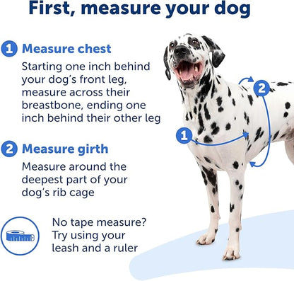 PetSafe® Deluxe Easy Walk® Dog Harness, No Pull Harness, Stop Pulling, Great for Walking and Training, Comfortable Padding, for Small Dogs- Steel/Black, Small