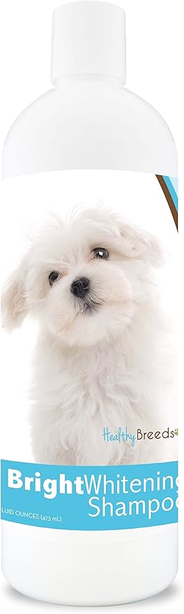 Healthy Breeds Maltese Bright Whitening Shampoo 12 oz, Pina Colada