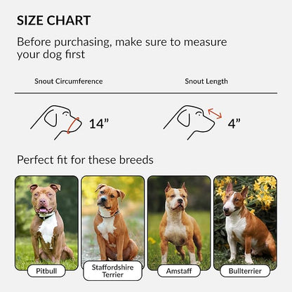 CollarDirect Leather Basket Dog Muzzle for German Shepherd Staffordshire Terrier Pitbull Medium Large Breeds Training, Anti-Barking, Biting, Chewing (Brown)