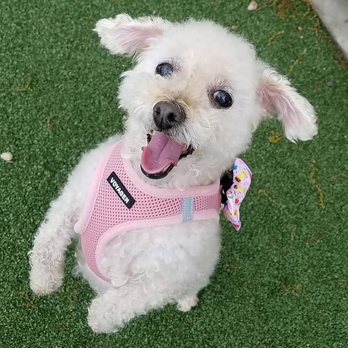 Voyager Step-In Air Dog Harness - All Weather Mesh, Reflective, No Pull Harness for Small, Medium Dogs, Cats - Secure with Hook & Loop Fastener, Buckle, Double D-Rings - Pink, XXS