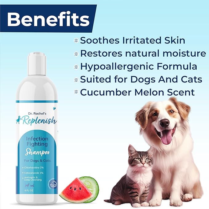 Replenish Anti Itch Dog Shampoo with Ketoconazole and Chlorhexidine for Dog Skin Irritation Treatment & Itchy Skin Relief - Dr. Rachel’s Veterinary Formula Dog Shampoo with Cucumber Melon Scent - 8 oz