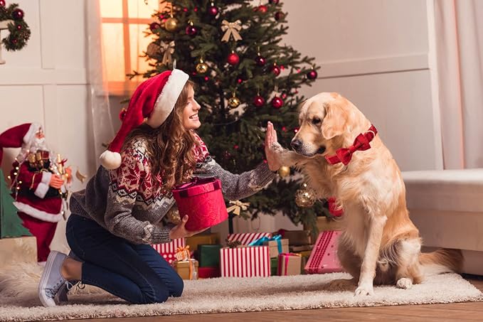 MACA Bates Dog Christmas Red Woolen Collar with Nylon- Warm and Soft Bows Dog Collar for Large Medium Small Dogs, Adjustable Dog Collar with Metal Buckle for Boy and Girl in Winter, XS Puppy Collar