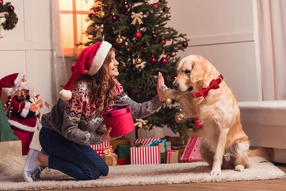 MACA Bates Dog Christmas Red Woolen Collar with Nylon- Warm and Soft Bows Dog Collar for Large Medium Small Dogs, Adjustable Dog Collar with Metal Buckle for Boy and Girl in Winter, XS Puppy Collar
