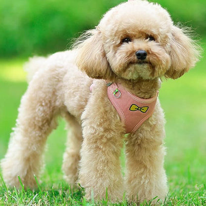 No Pull Dog Harness with Leash Pet Soft Vest Harness and Leash Set Dog Cat No Choke Escape Proof Harness Reflective Step in Harness for Small Medium Dogs Cats (Pink, Large)