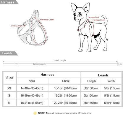 Beirui Small Dog Harness and Leash Set, No Pull Step-in Harness for Puppy, Lightweight Air Mesh Pet Harness for Small Dogs (Orange, XS)