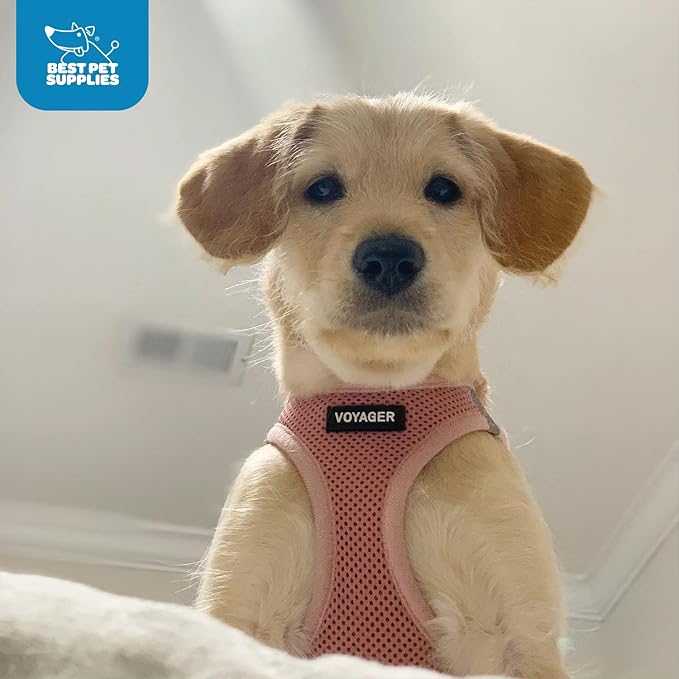 Voyager Step-In Air Dog Harness - All Weather Mesh, Reflective, No Pull Harness for Small, Medium Dogs, Cats - Secure with Hook & Loop Fastener, Buckle, Double D-Rings - Pink, XXS