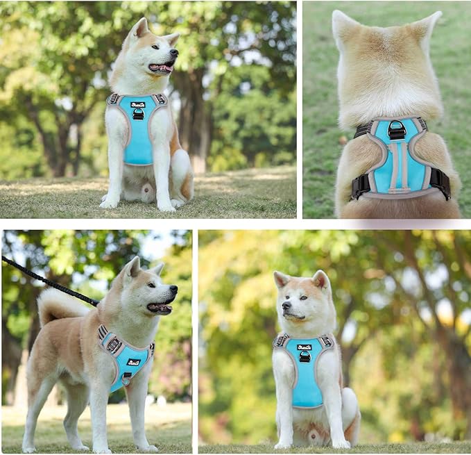 Lukovee No Pull Dog Harness, No Choke Adjustable Dog Harness with 2 Leash Clips and Easy Control Vertical Handle, Soft Padded Dog Vest for Medium and Large Dogs (Medium, Blue)