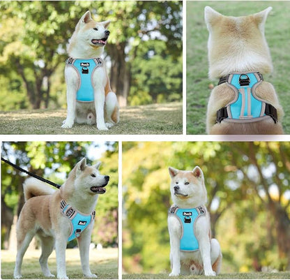 Lukovee No Pull Dog Harness, No Choke Adjustable Dog Harness with 2 Leash Clips and Easy Control Vertical Handle, Soft Padded Dog Vest for Medium and Large Dogs (Medium, Blue)