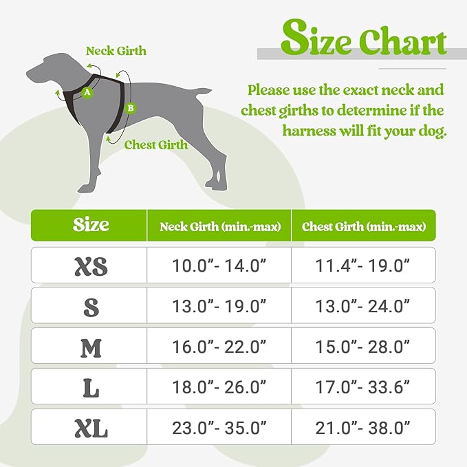 rabbitgoo Dog Harness, No-Pull Pet Harness with 2 Leash Clips, Adjustable Soft Padded Dog Vest, Reflective No-Choke Pet Oxford Vest with Easy Control Handle for Small Dogs, Wild Lime,S