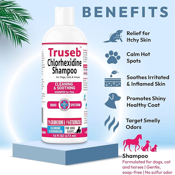 Truseb Topical Ketoconazole and Chlorhexidine Shampoo for Dogs, Cats, and Horses with Aloe - 16 oz (Ketoconazole & Chlorhexidine Shampoo, 16 oz)