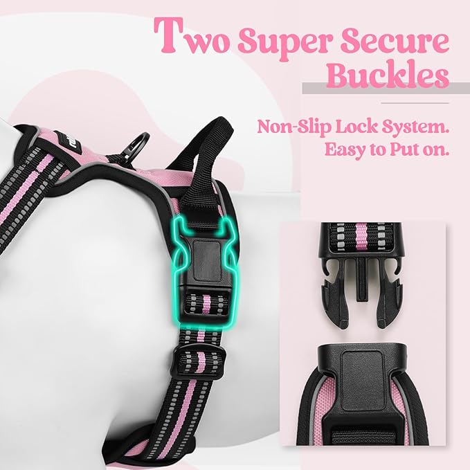 rabbitgoo Dog Harness, No-Pull Pet Harness with 2 Leash Clips, Adjustable Soft Padded Dog Vest, Reflective No-Choke Pet Oxford Vest with Easy Control Handle for Small Dogs, Pink, S