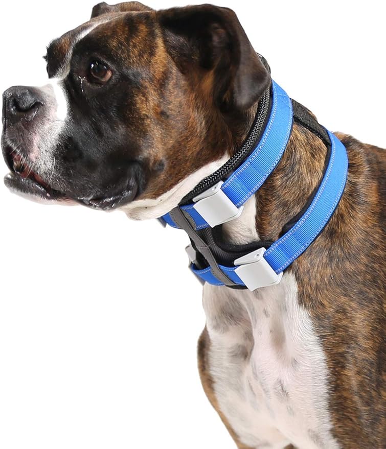 Cesar Millan Pack Leader Collar™ - Training Collar of The Dog Whisperer (Small, Grey)