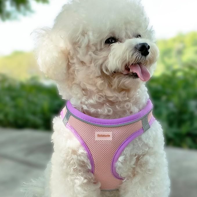 Soft Mesh Dog Harness and Leash Set, No-Chock Step-in Reflective Breathable Lightweight Easy Walk Escape Proof Vest Harnesses with Safety Buckle for Small Medium Dogs, Cats (Green, XSmall)