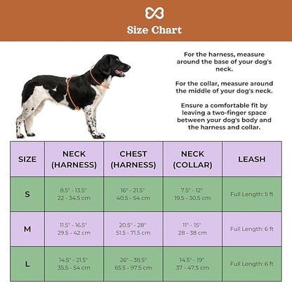 Dog Harness and Leash Set | BearBone No Pull Dog Harness and Waterproof Dog Collar and Leash Set | Heavy Duty Dog Harness, Leash and Collar | Medium Dog Harness, Leash and Collar (Brown, Medium)