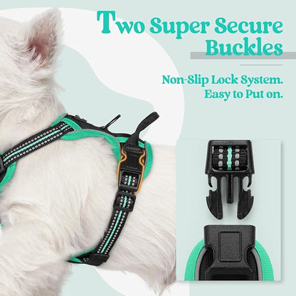 rabbitgoo Dog Harness, No-Pull Pet Harness with 2 Leash Clips, Adjustable Soft Padded Dog Vest, Reflective No-Choke Pet Oxford Vest with Easy Control Handle for Large Dogs, Black & Turquoise, X-Small
