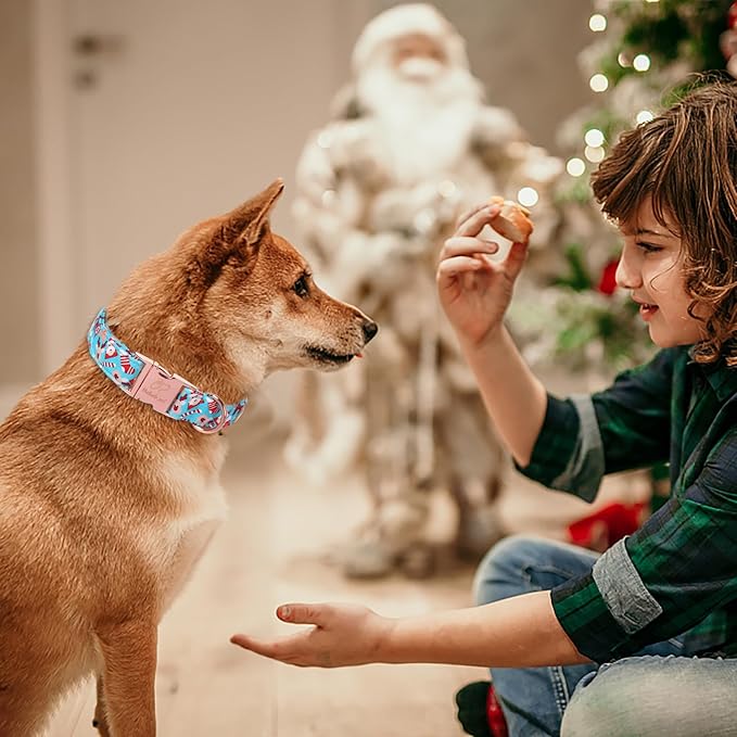 Christmas Dog Collars for Medium Dog,Blue Santa Claus Dog Collar with Safety Metal Buckle Adjustable Puppy Collars for Small Large Dog,Boy&Girl&Male&Female Dog Gift,M-13.5"-22"