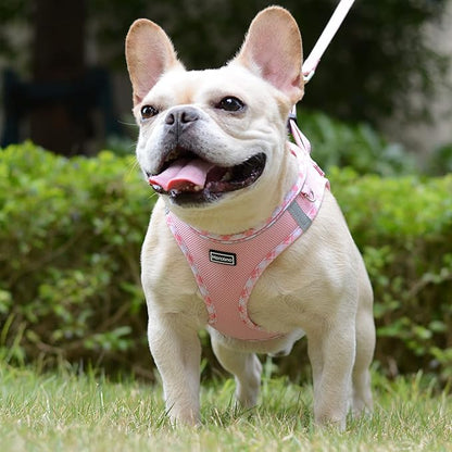Mercano Soft Mesh Dog Harness and Leash Set, No-Chock Step-in Reflective Breathable Lightweight Easy Walk Escape Proof Vest Harnesses with Safety Buckle for Small Medium Dogs, Cats (Pink, XS)