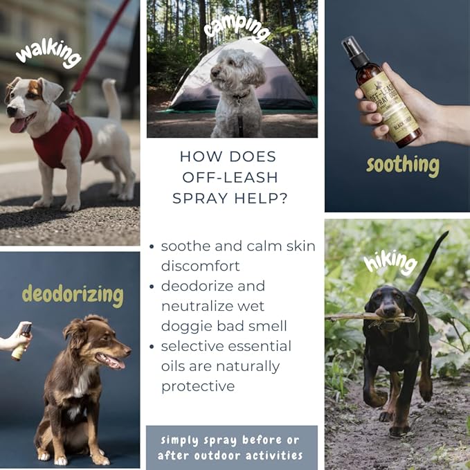 Deodorizer Spray: Lemongrass & Mint Dog Outdoor Grooming Spray - Puppy Body Perfume Spray Freshener Made in Canada