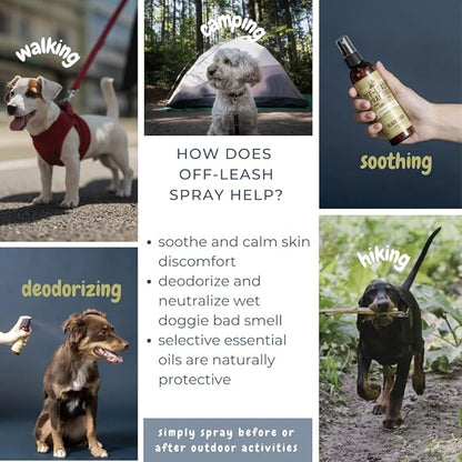 Deodorizer Spray: Lemongrass & Mint Dog Outdoor Grooming Spray - Puppy Body Perfume Spray Freshener Made in Canada