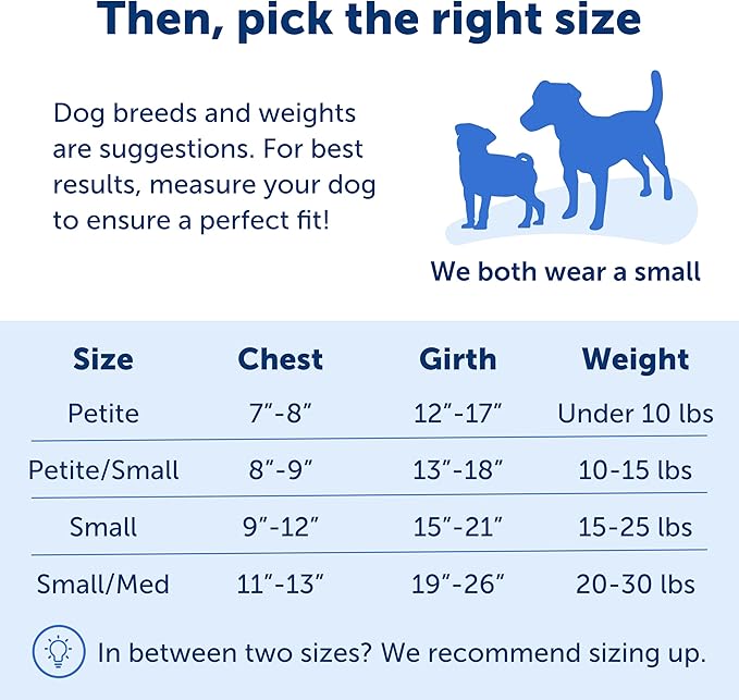 PetSafe Easy Walk No-Pull Dog Harness - The Ultimate Harness to Help Stop Pulling - Take Control & Teach Better Leash Manners - Helps Prevent Pets Pulling on Walks, Small, Apple Green/Gray