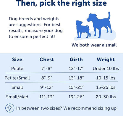PetSafe Easy Walk No-Pull Dog Harness - The Ultimate Harness to Help Stop Pulling - Take Control & Teach Better Leash Manners - Helps Prevent Pets Pulling on Walks, Small, Apple Green/Gray